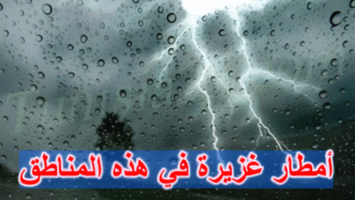 أمطار غزيرة ورعود تشمل هذه المناطق